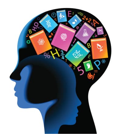 Teorías y Modelos del Aprendizaje