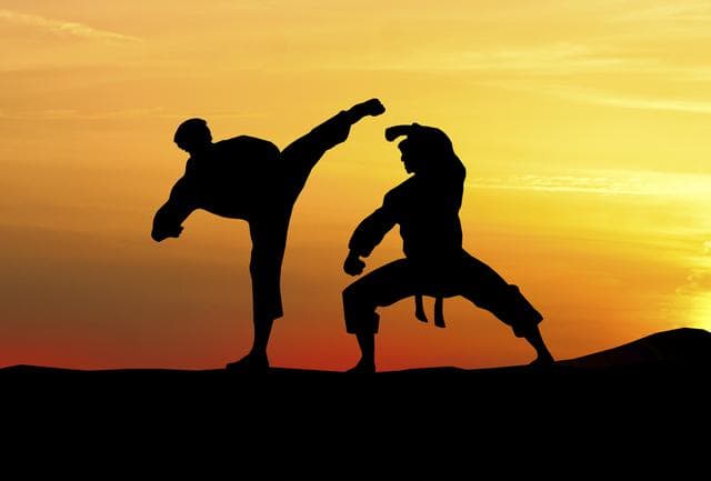 Artes Marciales