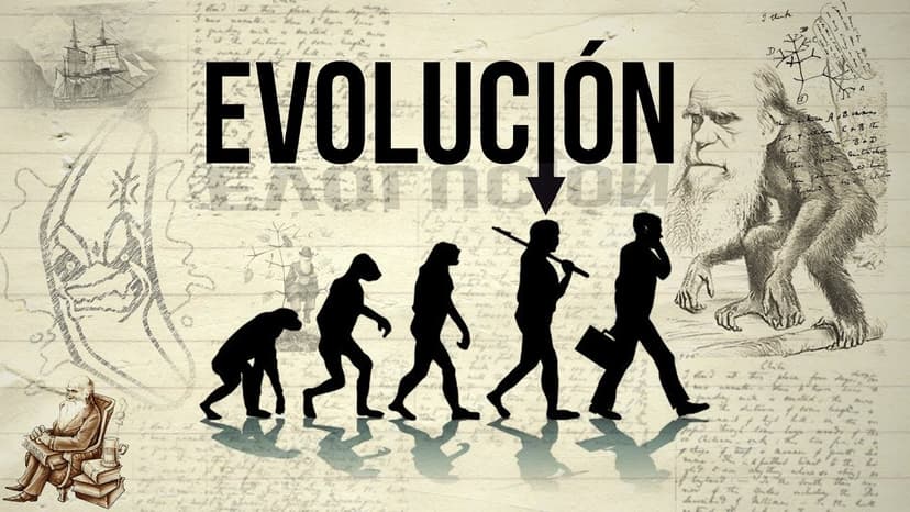 Las evidencias de la evolución