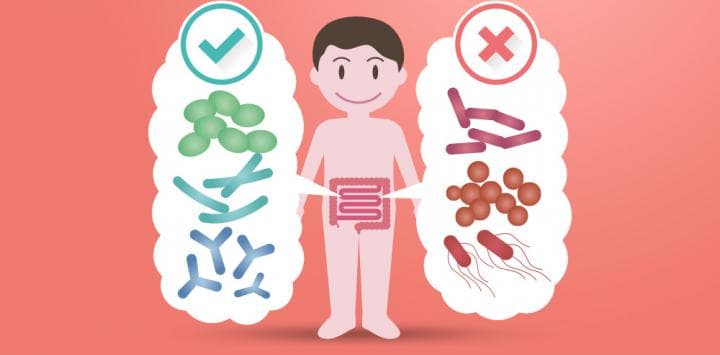 Microbiota Intestinal