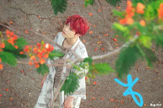 Podcats interesantes