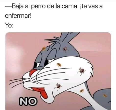 Salud: cuida tu vida