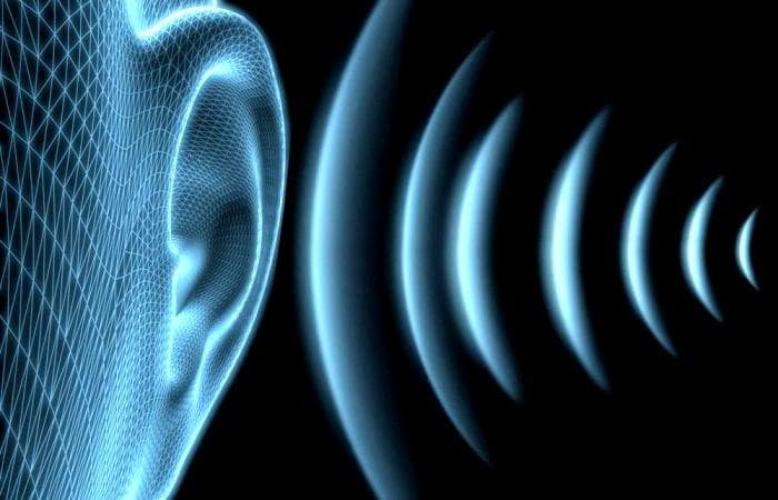 RIZOMA  "comunicación sin limites"  