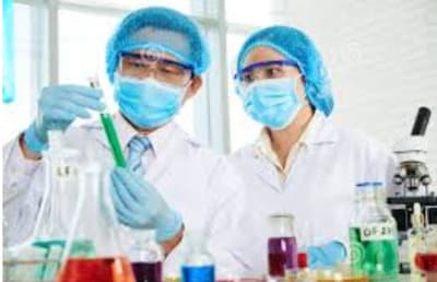 Trabajo en equipo, herramienta valiosa para el desempeño escolar