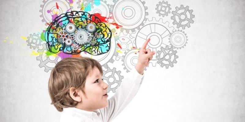 Conociendo la Neuropsicología