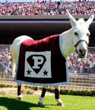 figuras tutorales dentro del IPN