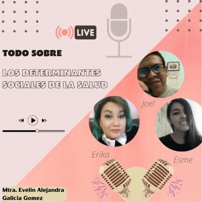 Los determinantes sociales de la salud