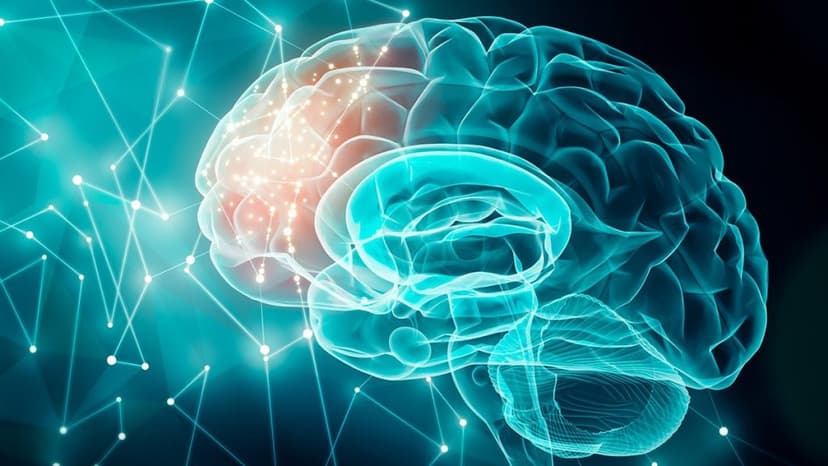 El Campo Aplicado de las Neurociencias del Comportamiento