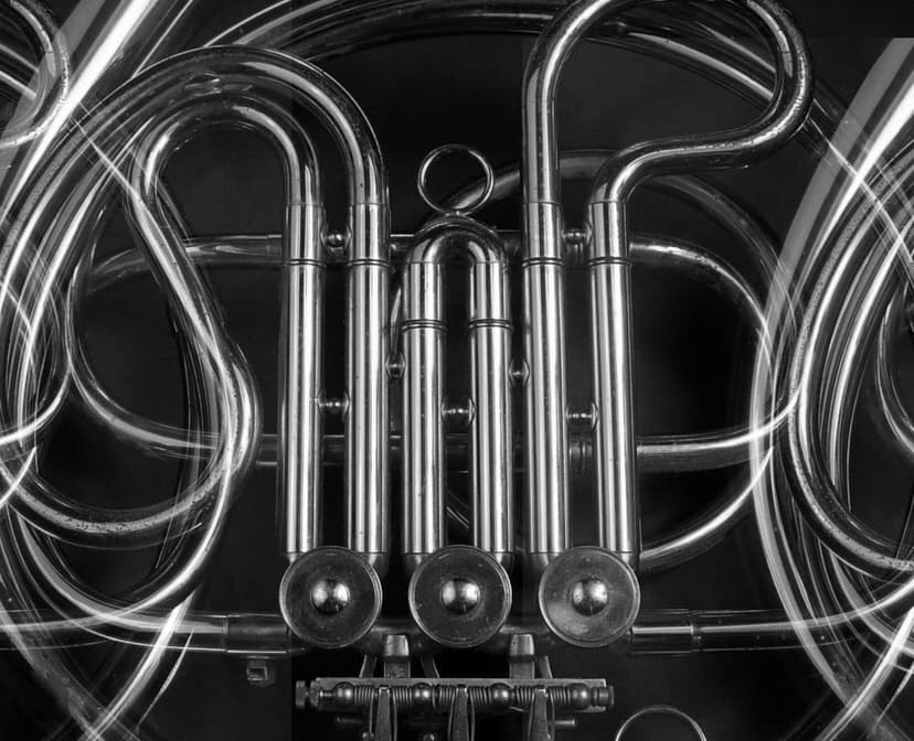 Hábitos de estudio saludables para trompistas