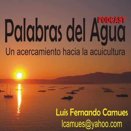 PODCAST PALABRAS DE AGUA