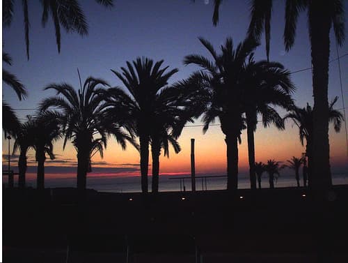 La victoria de Nguema