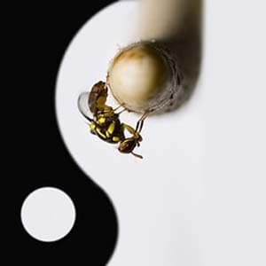 El podcast de Eli Lleyda