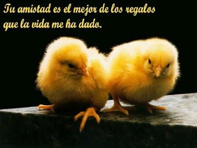 Amistad