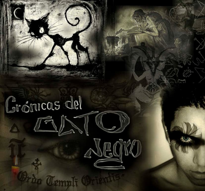 GATO NERO