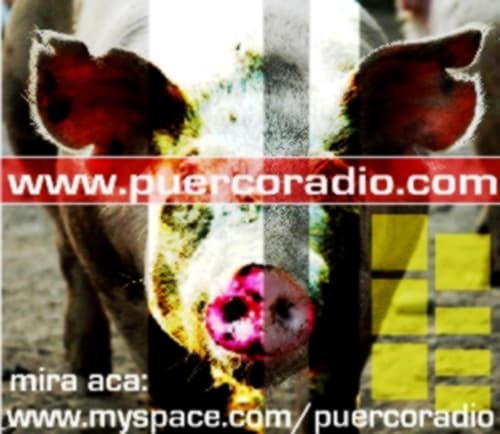 Puerco Radio