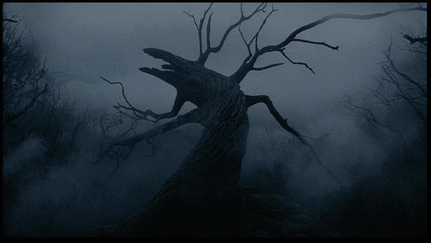 Temas Proféticos y de Revelación.