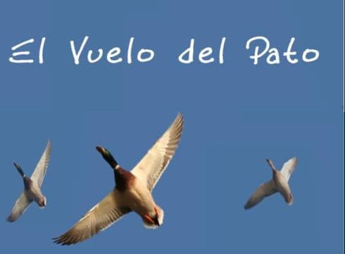 el vuelo del pato