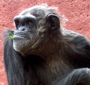 ..:: RaDiO aLtErNa ::..