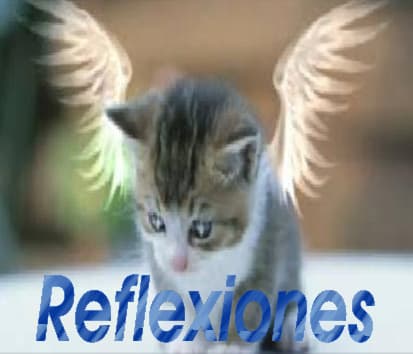 REFLEXIONES
