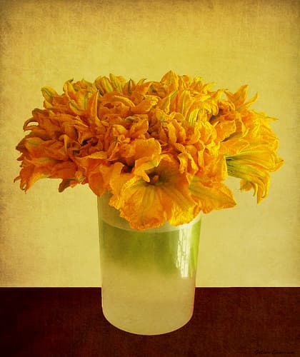 El podcast de Patricia