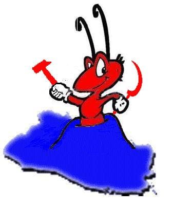 EL PODER ESTA EN EL PUEBLO