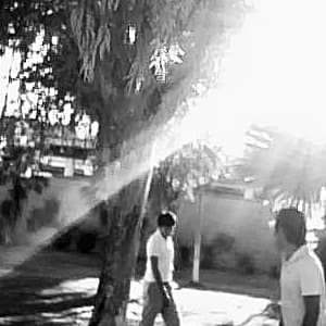 Musica