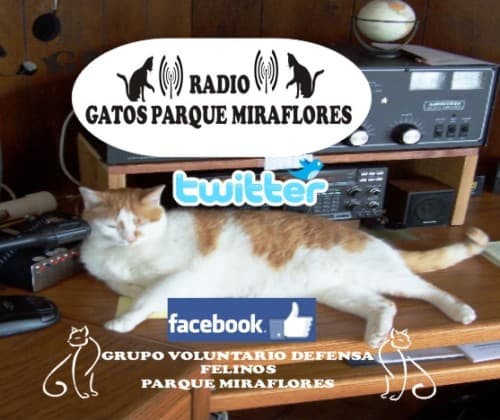 Radio Gatos Parque Miraflores
