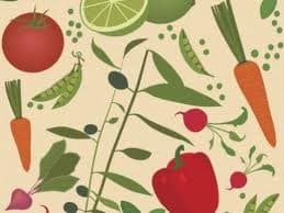 alimentos funcionales