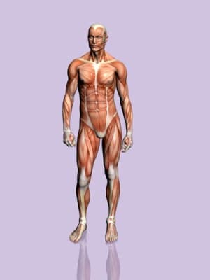 SECRETOS DE TU CUERPO