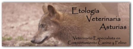 Etología Veterinaria Asturias