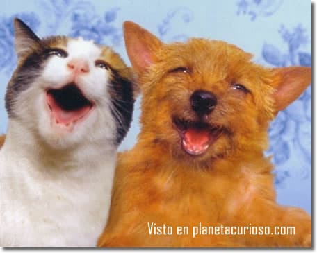 amistad